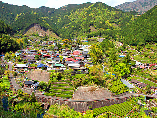 有東木