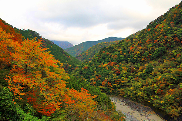 大井川流域