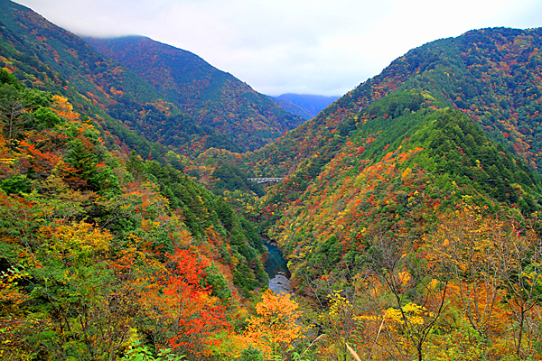 大井川流域