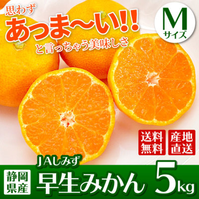 JAしみずの早生みかんMサイズ