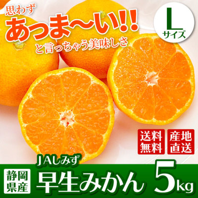 JAしみずの早生みかんLサイズ