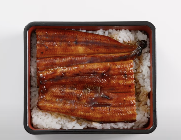 うなぎ盛り付け方