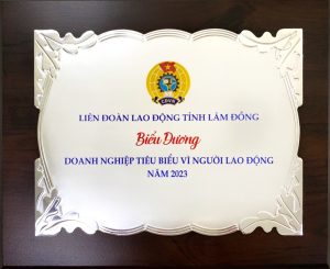 ベトナム大五LAS社がラムドン省から優良企業として表彰されました