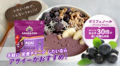 栄養チャージにはアサイーがおすすめ
