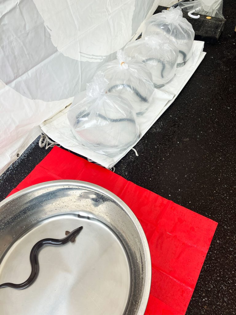 活鰻の販売の様子