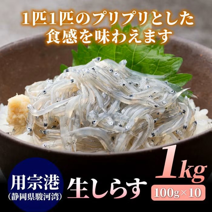 用宗港生しらす