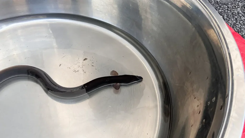 春マルシェの様子