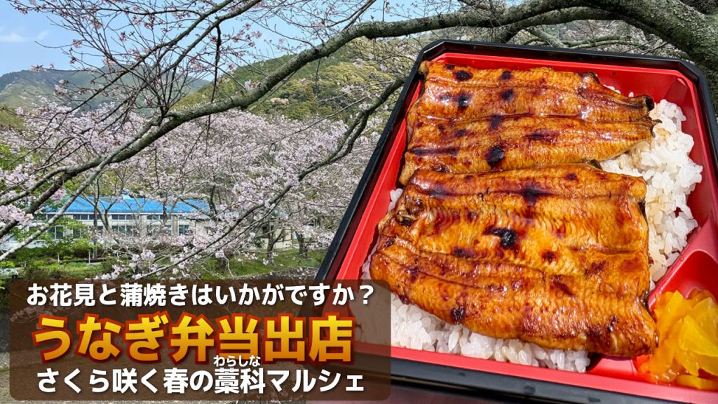 大五うなぎ弁当