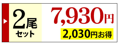 うなっ娘2尾入り価格