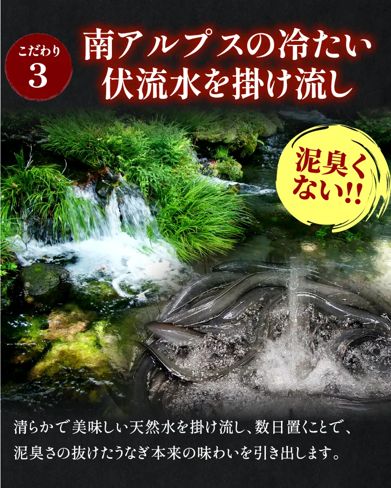 南アルプスの伏流水で活かした国産うなぎ