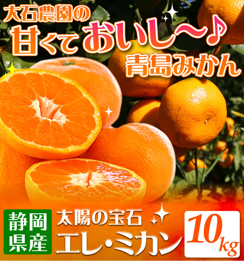 静岡県産みかんの定番 青島みかん10kg エレ ミカン 送料無料 大五うなぎ工房