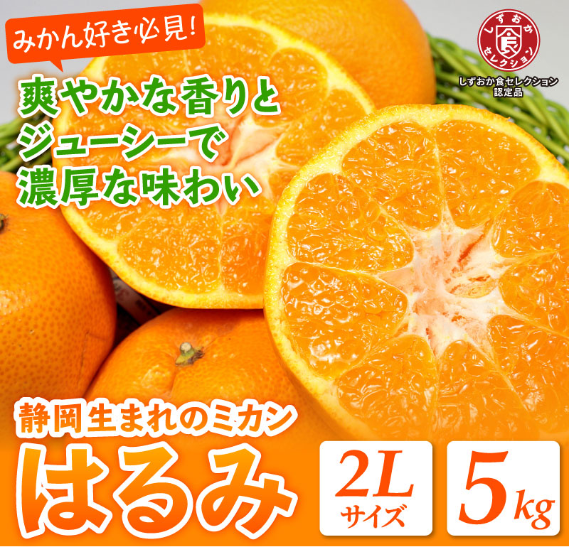 静岡県産 はるみみかん 2l 5kg Jaしみず 送料無料 みかんのお取り寄せは大五うなぎ工房