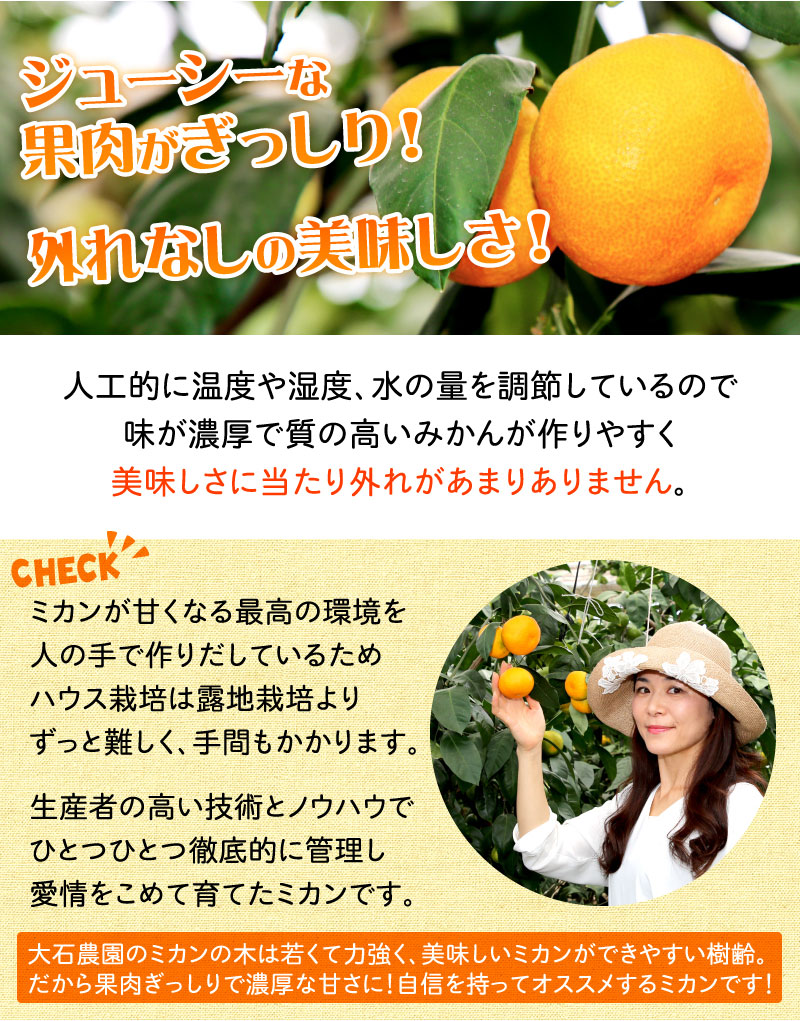 静岡県産ハウスみかん 夏の宝石 エレ ミカン2 5kg みかんのお取り寄せなら大五セレクション