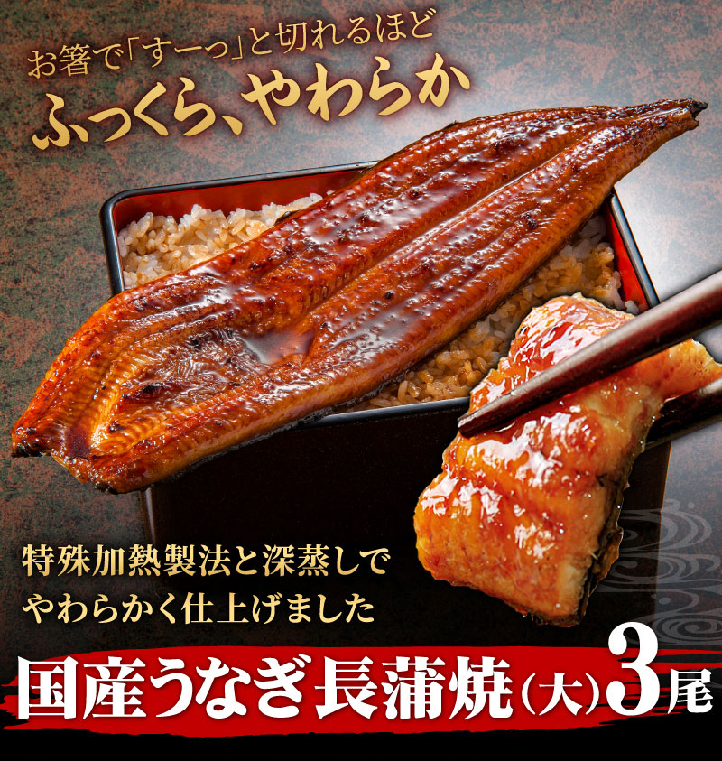 国産うなぎ蒲焼 長蒲焼 大 3尾 大五うなぎ工房本店 国産うなぎ蒲焼 長蒲焼 大 3尾 大五うなぎ工房本店