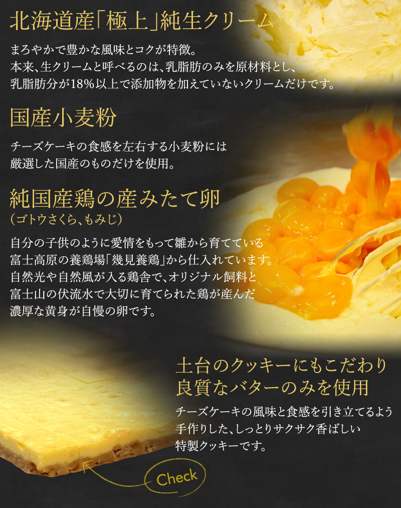 5種類のチーズスティック Polipoliのチーズケーキ通販 大五セレクション