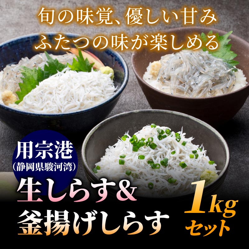 用宗港 静岡県駿河湾 生しらす 釜揚げしらす 1kgセット 大五うなぎ工房本店