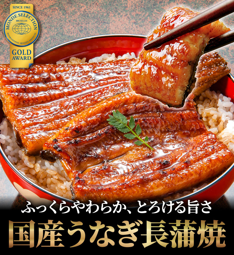 丑牛セット 国産うなぎ蒲焼 サーロインステーキ 高級ギフトなら大五うなぎ工房 丑牛セット 国産うなぎ蒲焼 サーロインステーキ 高級ギフトなら大五うなぎ工房