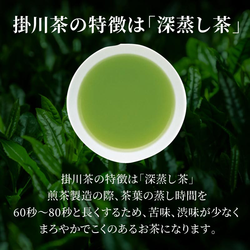 掛川深蒸し緑茶 紫 100g 2袋 元気いただきますプロジェクト販売価格助成商品