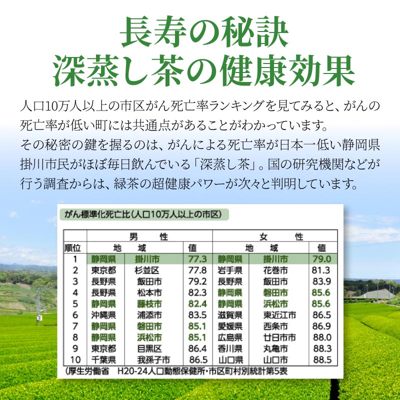 ポット用 掛川深蒸し緑茶ティーバッグ 100個入り 大五うなぎ工房本店