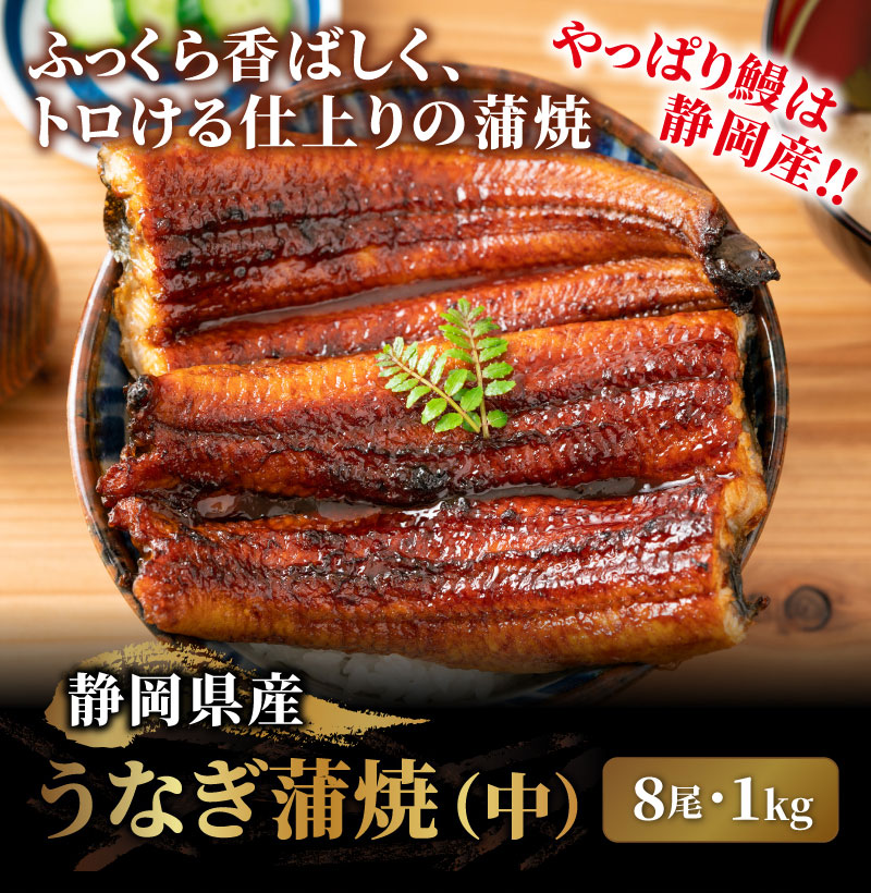 市場 YOUKI 1kg×12個入り キムチの素 ユウキ食品