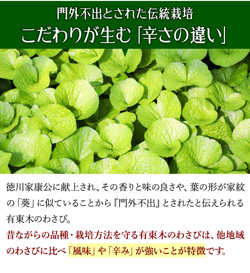 わさび栽培発祥の地 有東木 の本わさび 特大サイズ1本 ワサビのお取り寄せなら大五うなぎ工房本店