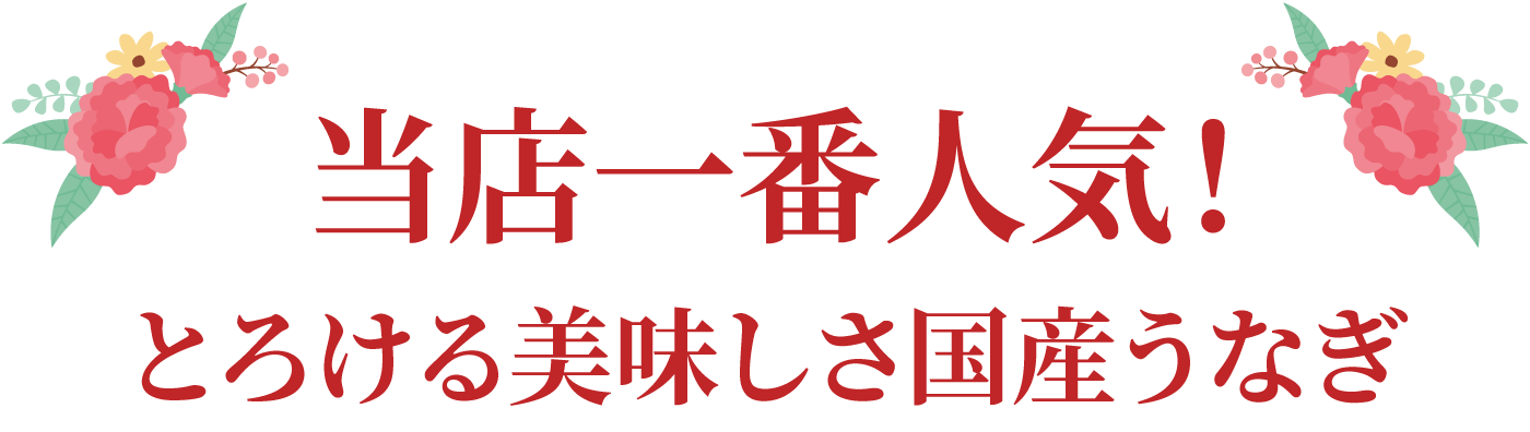 当店一番人気！とろける美味しさ国産うなぎ