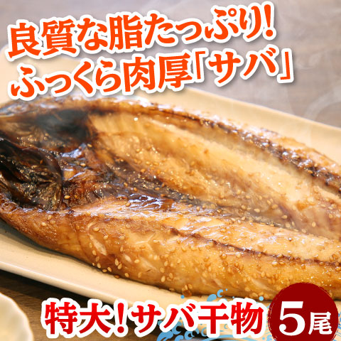 サバ特大干物