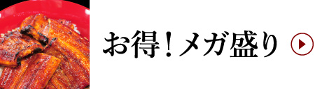 メガ盛りうなぎ