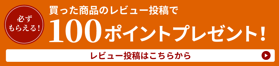 レビュー投稿